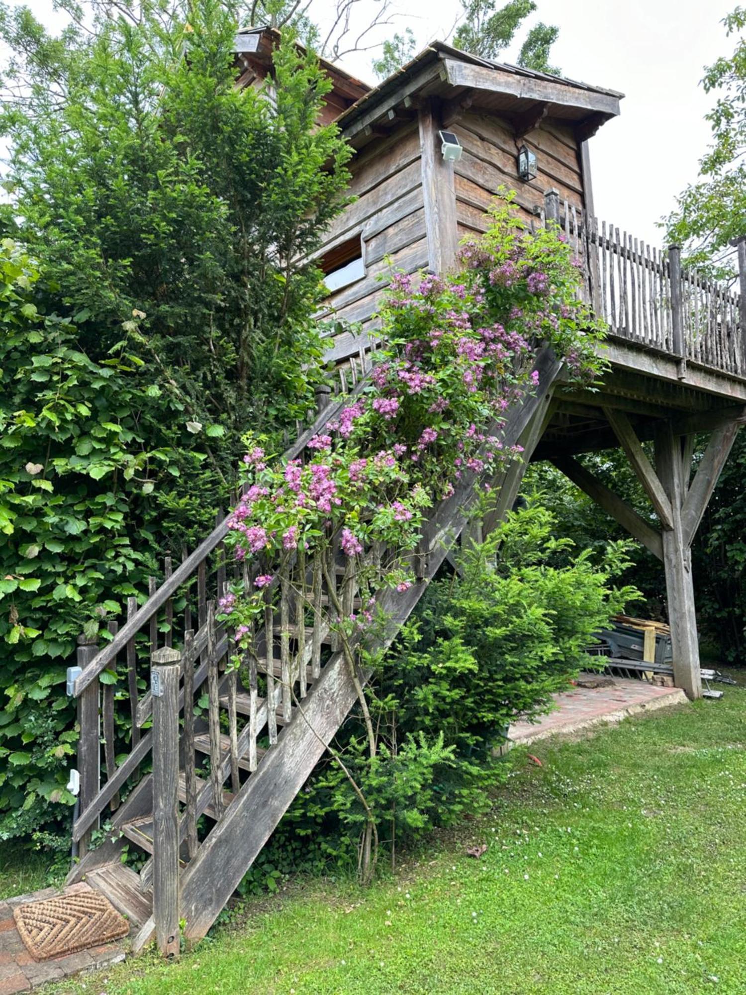 Chambres D'Hotes De La Vallee Javot Féricy Екстериор снимка