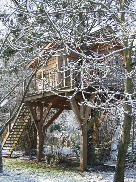 Chambres D'Hotes De La Vallee Javot Féricy Екстериор снимка